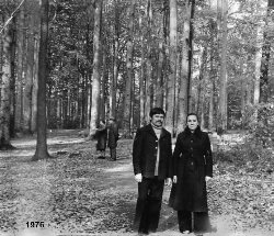 Im Zesigwald